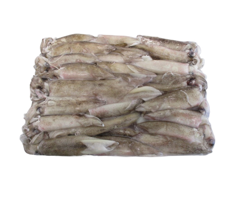 Calamar Patagónico 4 