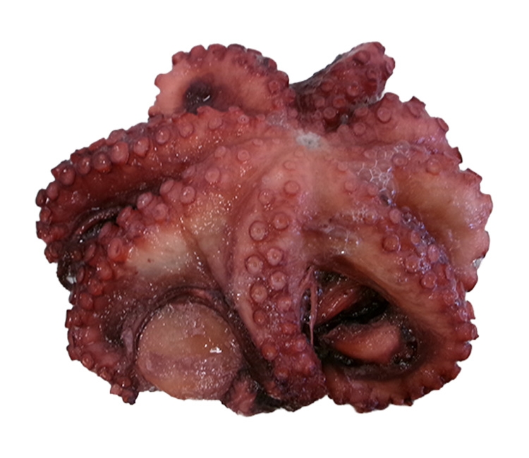Pulpo Cocido en su jugo 300/450