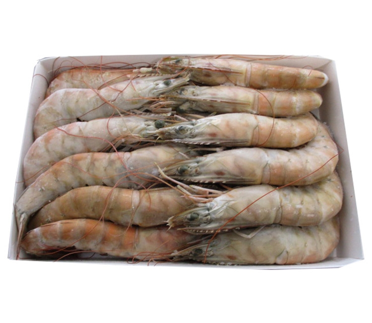 Langostino Blanco