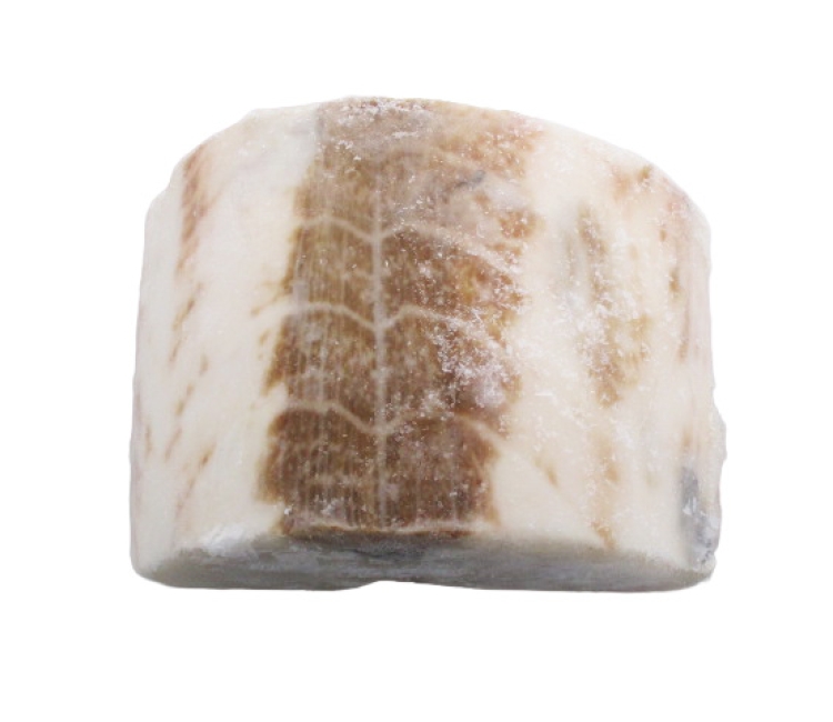 Lomo Pez Mantequilla (Escolar)