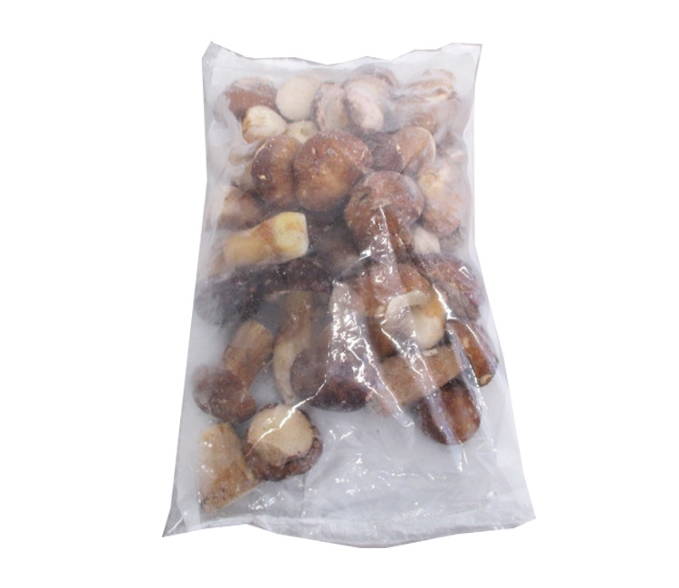 Boletus Edulis Silvestre Entero